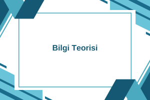 Bilginin Tanımı